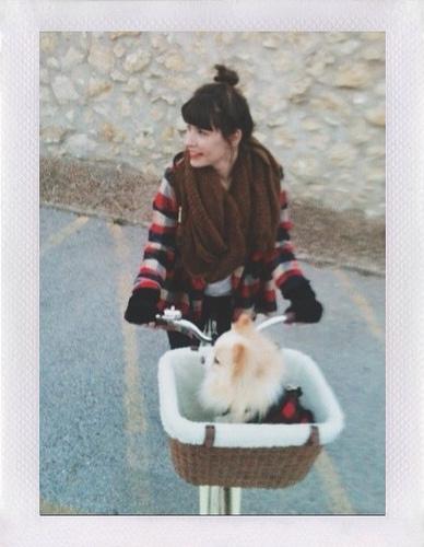 Yo, Wear a Helmet 8664939216_60a0039ebd