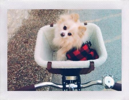 Yo, Wear a Helmet 8663839993_2ab5da6119