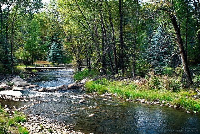 The beautiful Roaring Fork River meanders through a green woodland with a foot bridge crossing.