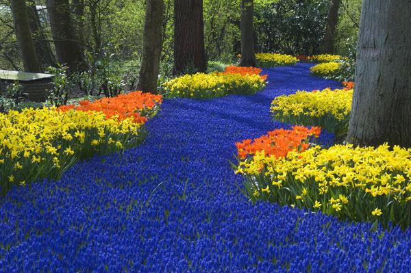 INSPIRATION - Pinterest - Paperblog