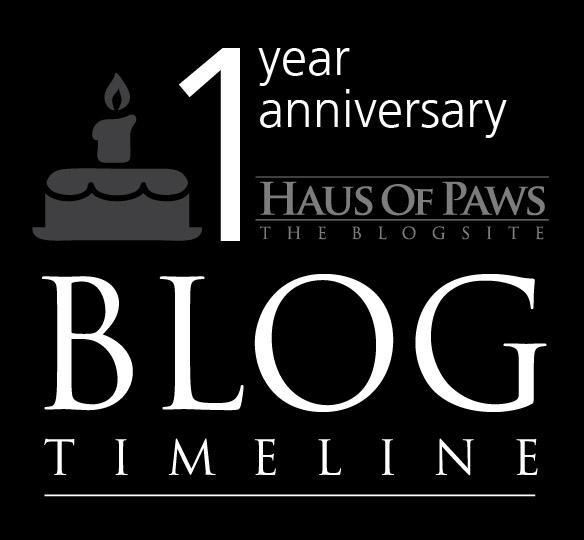 Infographic Celebrates the 1st Anniversary of Our Blog!