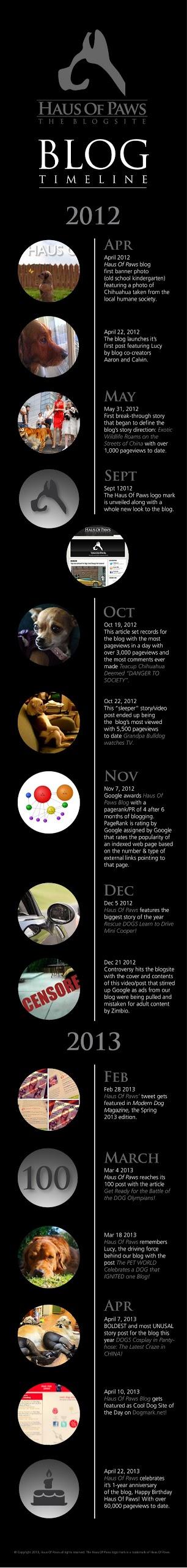 Infographic Celebrates the 1st Anniversary of Our Blog!