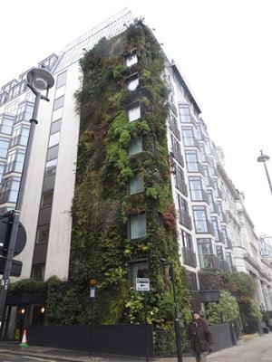 Patrick Blanc's Vertical Gardens, London