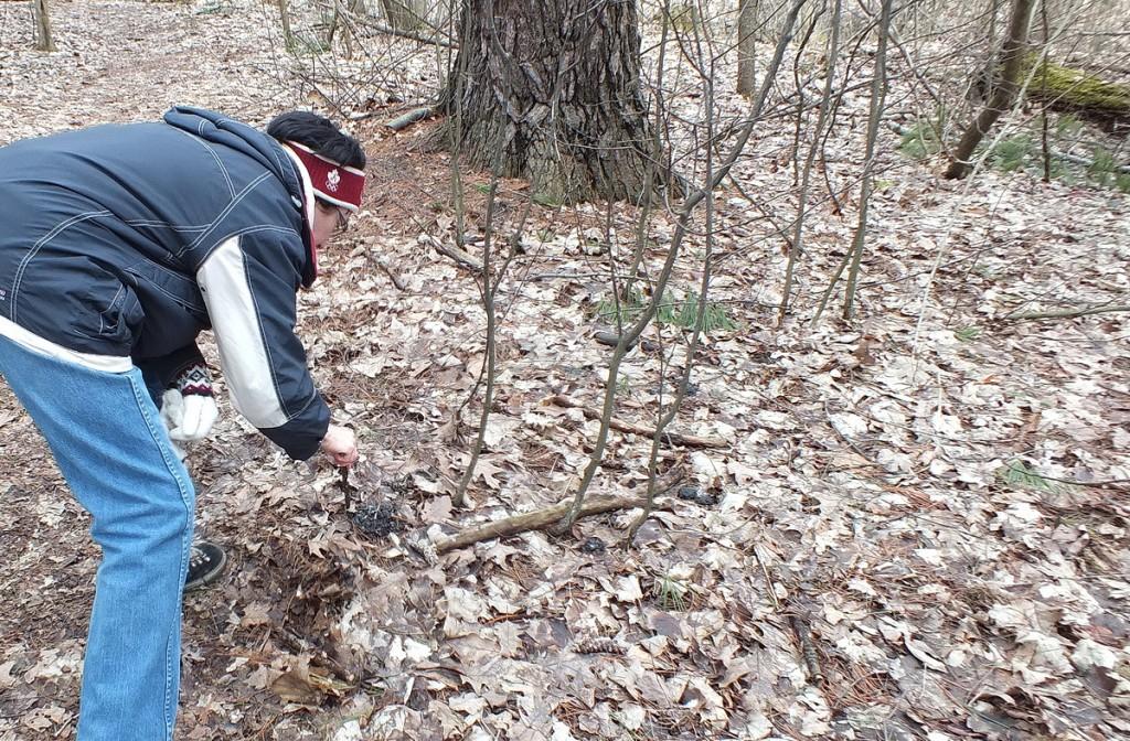 Great Horned Owls and Owlets – Thickson’s Woods – Whitby Jean inspects Great Horned Owl pellet - Thicksons Woods - Whitby - Ontario