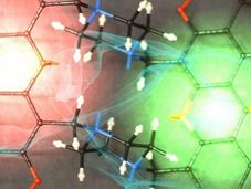 Quantum Dynamics Observed Photosynthesis Gives Ideas Solar Cells