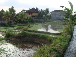 Ubud - Indonesia