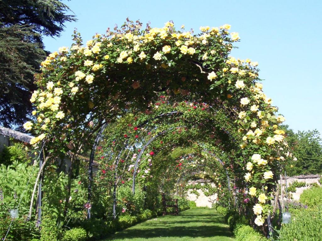 Early Spring Wildflowers at Cootes Paradise – Burlington A garden arbor at the Château de la Bourdaisière Castle in France