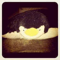 Penguin Pillow Pet, sleeping.