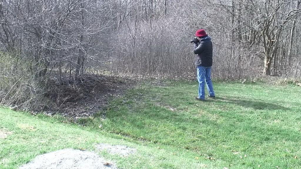 jean takes picture of eastern towhee - Beamer Memorial Conservation Area - Grimsby - Ontario