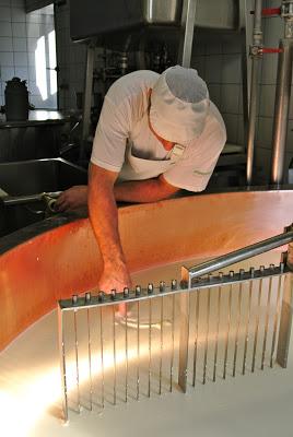 comté: from cow to cheese