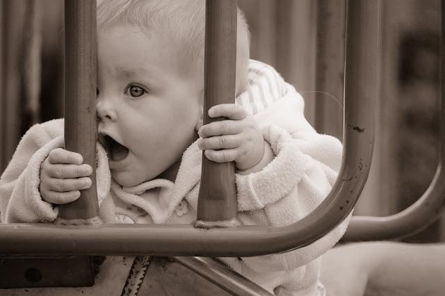 Monday Montage (MAJOR photo update :) ) Monday Montage (MAJOR photo update :) )