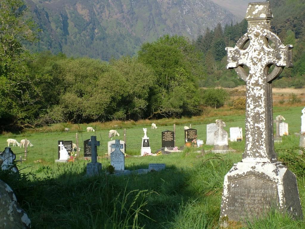 Glendalough, one of the most beautiful places in Ireland Sheep in a field beside Glendalough graveyard - Ireland