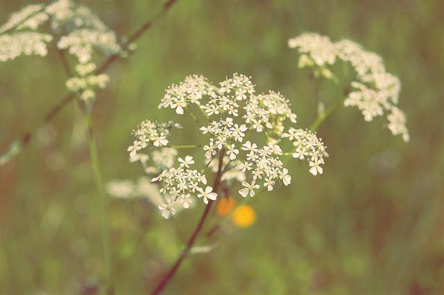 Break out the BBQ - Summer is on it's way.. Break out the BBQ - Summer is on it's way..