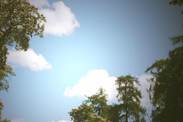 Break out the BBQ - Summer is on it's way.. Break out the BBQ - Summer is on it's way..