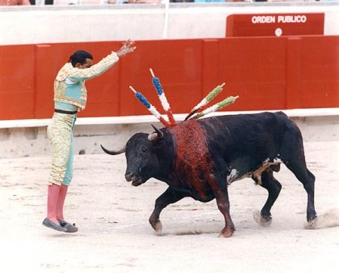 cruel-bull-fight