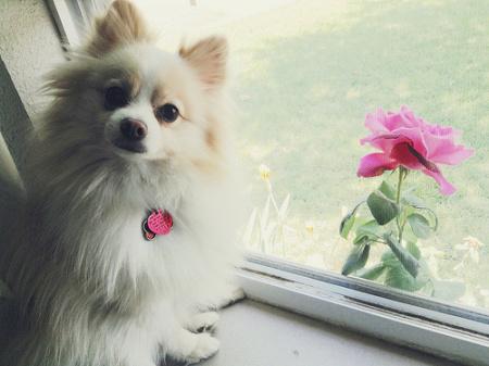 Smattering of Here and There 8722609750_c56b243e99