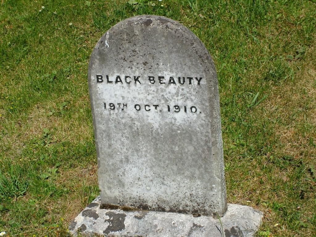 Powerscourt House and Gardens, A World Of Floral Glory – Ireland black beauty gravestone - powerscourt - wicklow - ireland