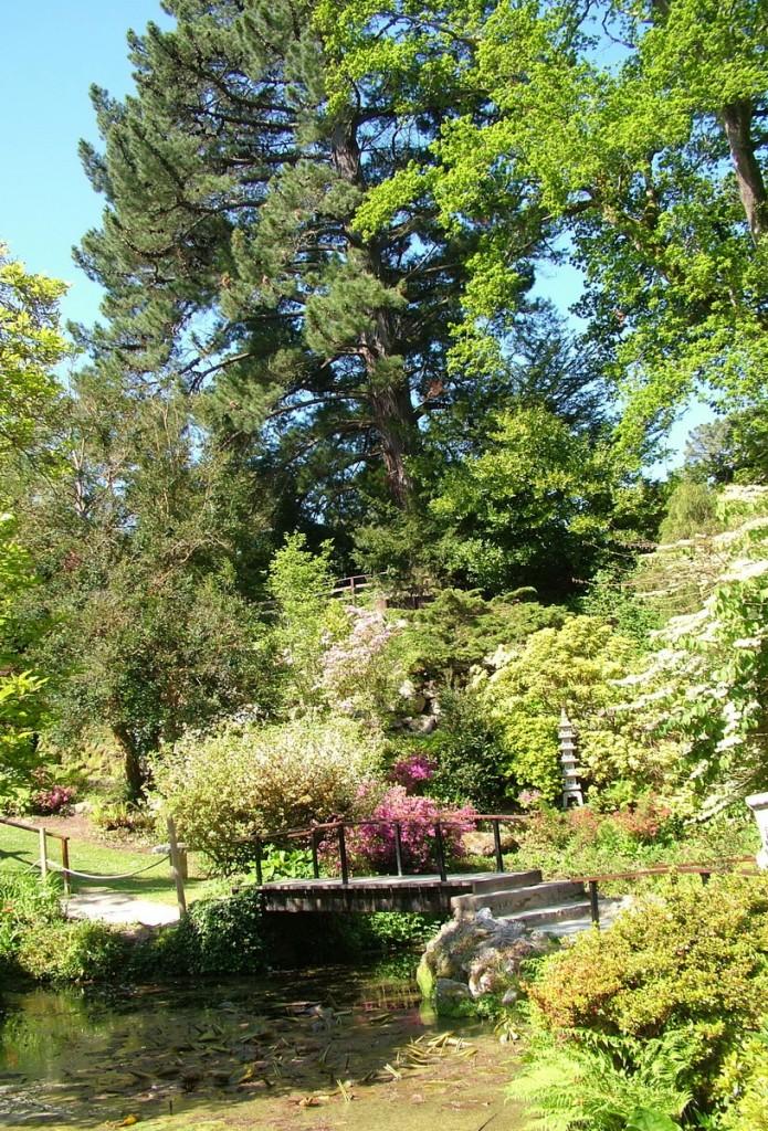 Powerscourt House and Gardens, A World Of Floral Glory – Ireland garden bridge in the Japanese Garden - Powerscourt - Ireland