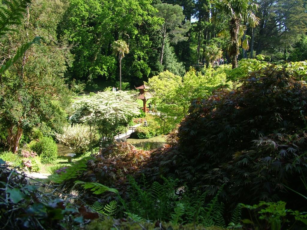 Powerscourt House and Gardens, A World Of Floral Glory – Ireland Japanese Garden - Powerscourt - Ireland