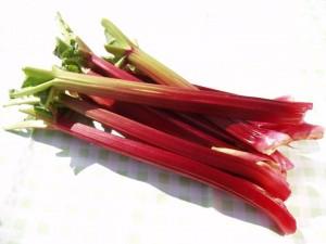 rhubarb health and cleansing power