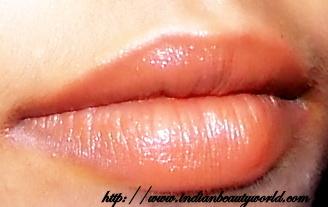 LOTD: Lakme Absolute Matte Lip Color 51 Brick Review And Swatches