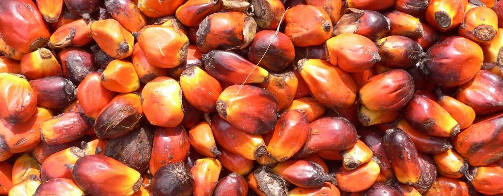 Palm nuts (Credit: Flickr @ oneVillage Initiative http://www.flickr.com/photos/1village/)