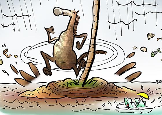 detail image from cartoon inspired by Kentucky Derby horse on desert isle running around palm tree in rain splashing mud, fish observing that some horses run well on muddy track