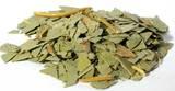 Eucalyptus For Fleas? Yes! 15 Herbs For Your Pets!