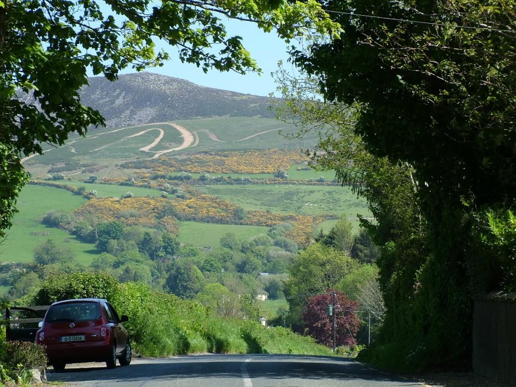 Driving the Intriguing Backroads of Wicklow County – Ireland Gorse growing on hillside - Enniskerry - Wicklow - Ireland
