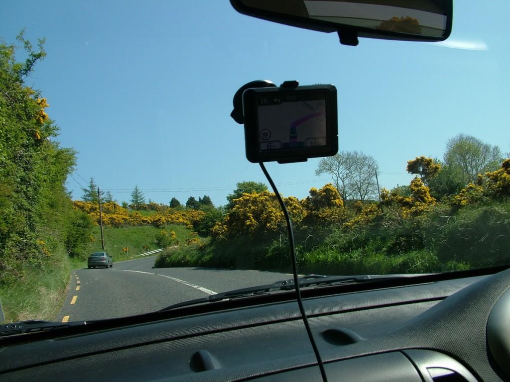 Driving the Intriguing Backroads of Wicklow County – Ireland Yellow Gorse growing near Glencree River - Enniskerry - Wicklow - Ireland