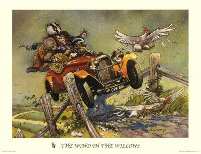 Driving the Intriguing Backroads of Wicklow County – Ireland toad and motor car