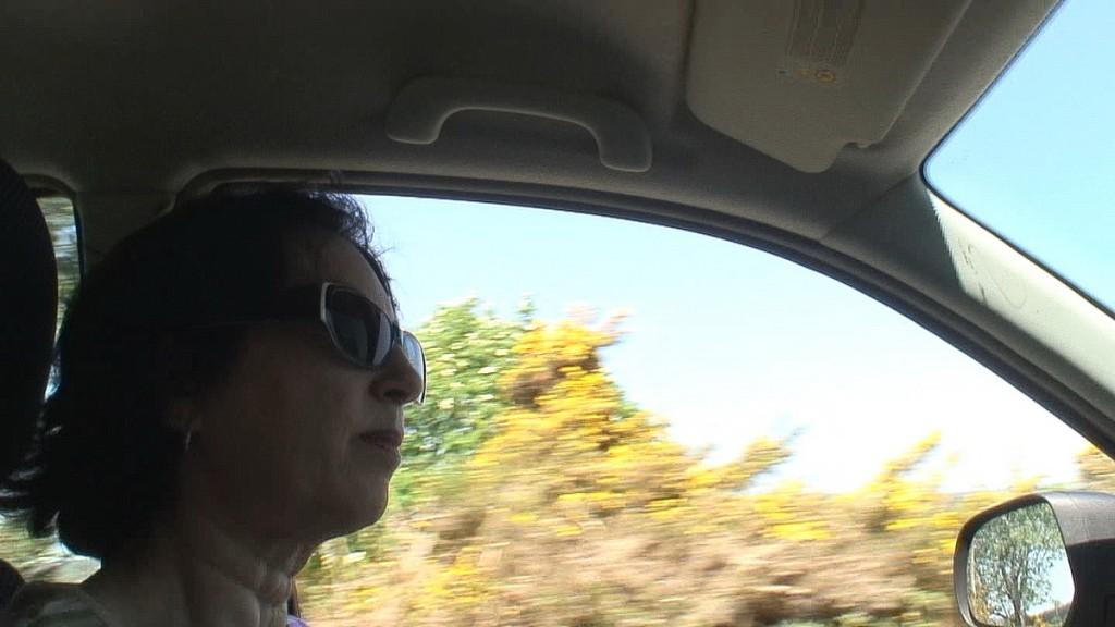Driving the Intriguing Backroads of Wicklow County – Ireland jean watches cars ahead - enniskerry - ireland