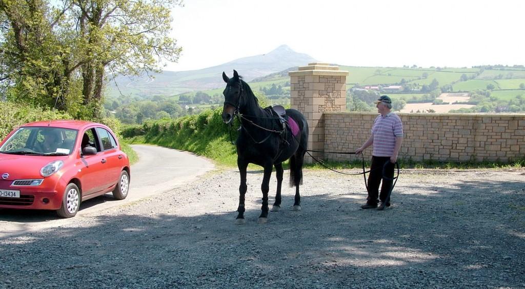 Driving the Intriguing Backroads of Wicklow County – Ireland Chris with race horse and Sugar Loaf Mountain in distance - Onagh Farm - Enniskerry - Wicklow - Ireland