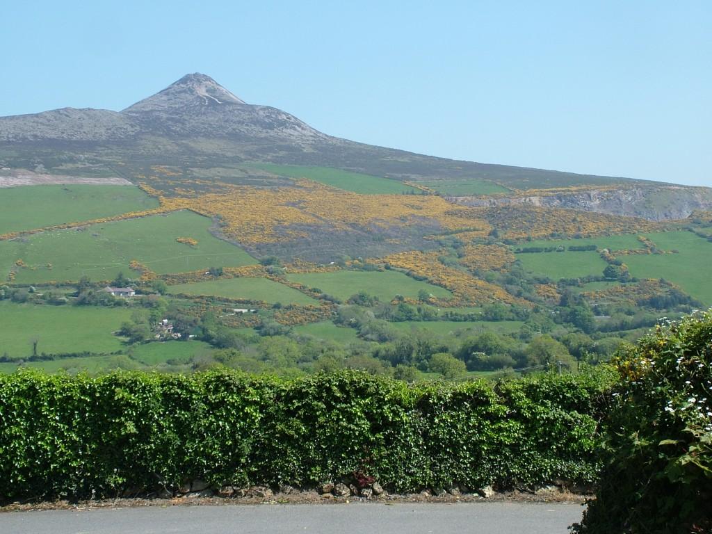 Driving the Intriguing Backroads of Wicklow County – Ireland Sugar Loaf Mountain with Yellow Gorse growing on its sided - Enniskerry - Wicklow - Ireland
