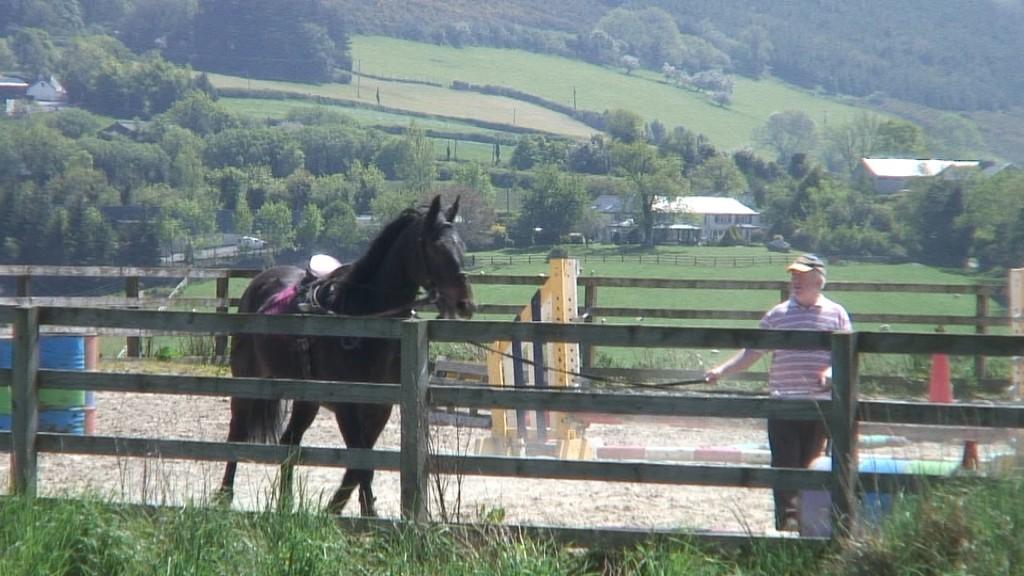 Driving the Intriguing Backroads of Wicklow County – Ireland Chris works horse - Enniskerry - wicklow - ireland