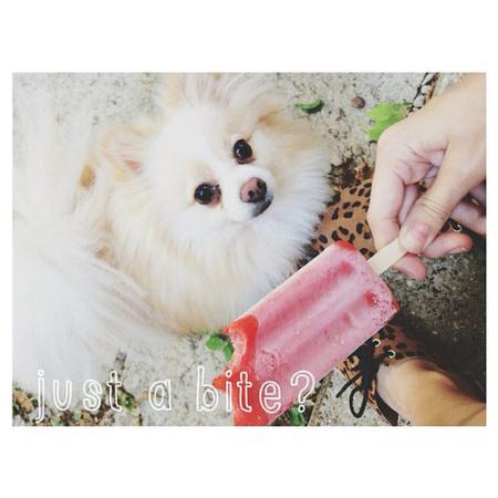 A Beautiful Mess App 8747169682_617a4488cb