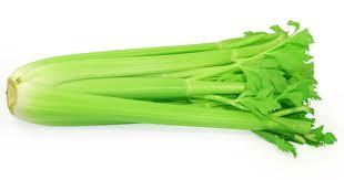 Food For Thought - Why Should You Eat Celery?