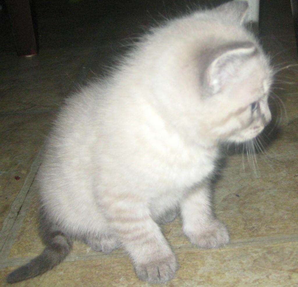 Where Were You Wednesday: Week 35 002