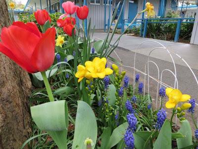 Art Project:  Flowers in the School Garden