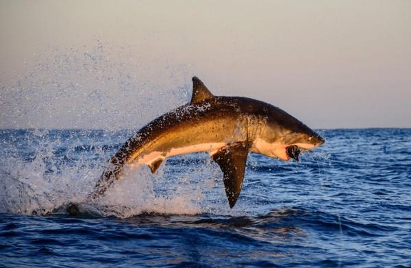 2013 National Geographic Traveler Photo Contest s_n39_00204281