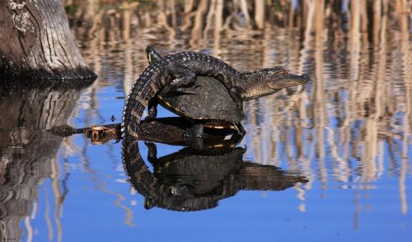 2013 National Geographic Traveler Photo Contest s_n15_00204063