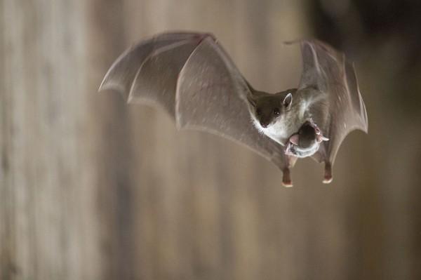 2013 National Geographic Traveler Photo Contest s_n24_00200392