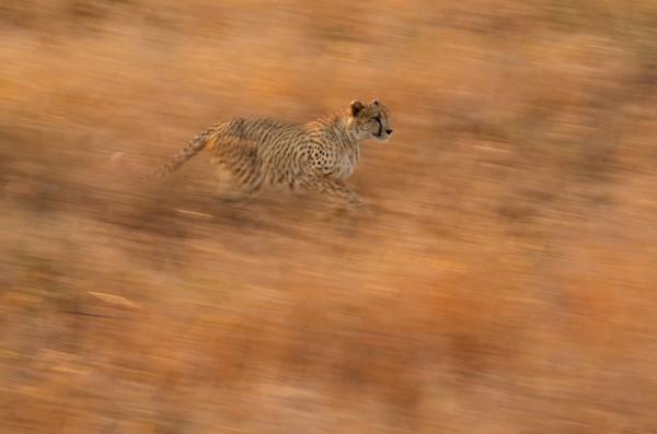2013 National Geographic Traveler Photo Contest s_n20_00206337