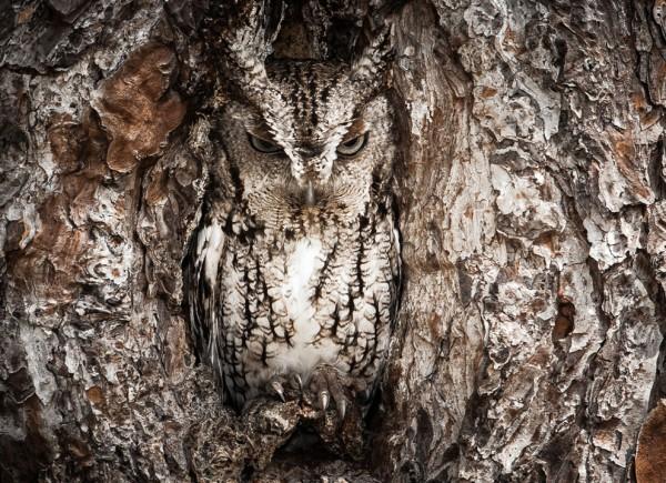 2013 National Geographic Traveler Photo Contest s_n08_00202369