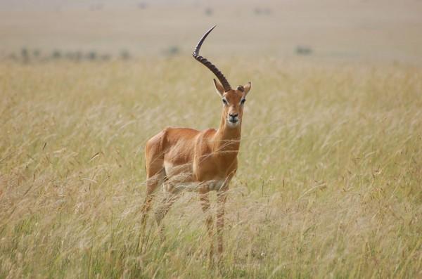 2013 National Geographic Traveler Photo Contest s_n34_00205489