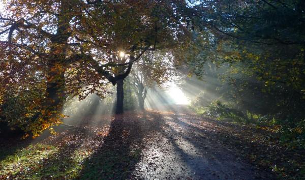 2013 National Geographic Traveler Photo Contest s_n35_00203575