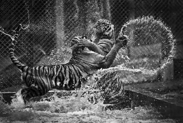 2013 National Geographic Traveler Photo Contest s_n10_00203194