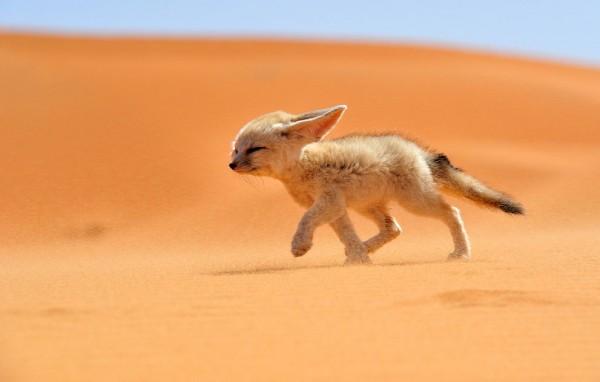 2013 National Geographic Traveler Photo Contest s_n01_00206197