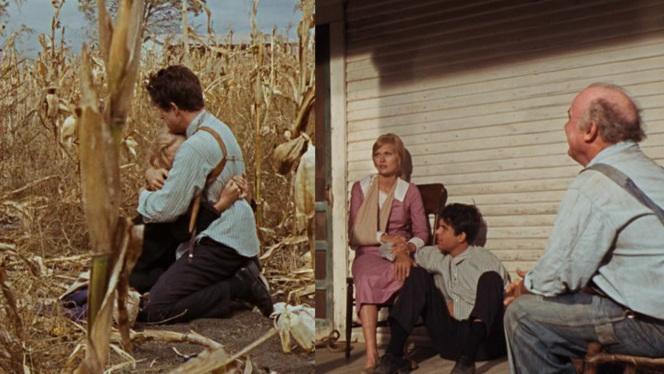 Clyde Barrow’s Dapper Dark Pinstripe Suit Magically, Clyde has the same clothes a year later after he had to ditch all of the gang's clothes and guns in Dexfield Park.