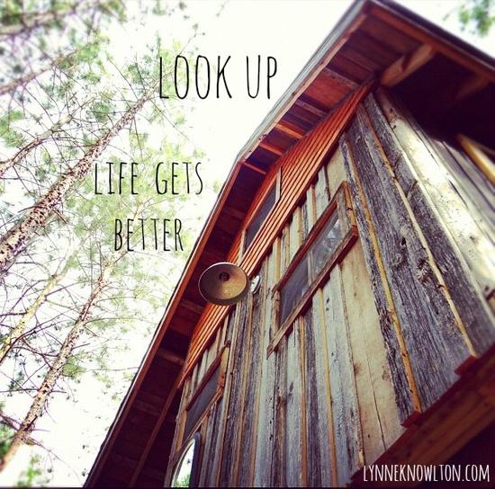 Look up ! Life gets better... especially in a #treehouse. Read more about the recycled, reclaimed barn board treehouse on the blog lynneknowlton.com
